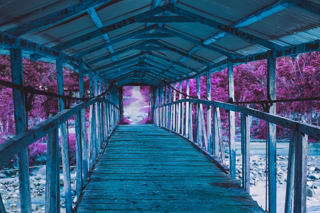 passage, drink, blue-5318844.jpg